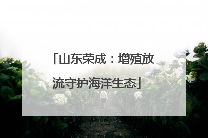 山东荣成：增殖放流守护海洋生态