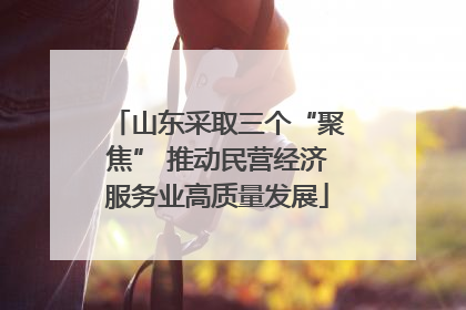 山东采取三个“聚焦” 推动民营经济服务业高质量发展