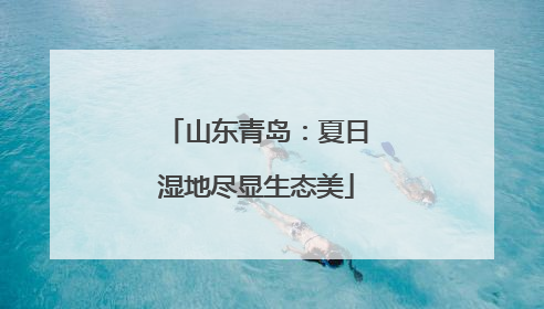 山东青岛：夏日湿地尽显生态美
