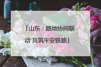 山东：路地协同联动 共筑平安铁路