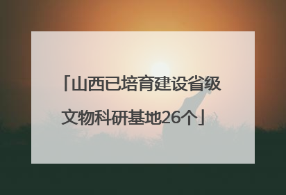山西已培育建设省级文物科研基地26个