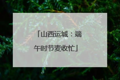 山西运城：端午时节麦收忙