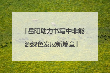 岳阳助力书写中非能源绿色发展新篇章