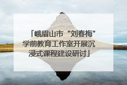 峨眉山市“刘春梅”学前教育工作室开展沉浸式课程建设研讨