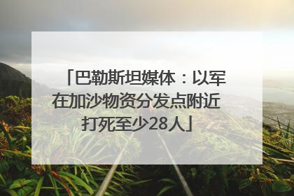 巴勒斯坦媒体：以军在加沙物资分发点附近打死至少28人