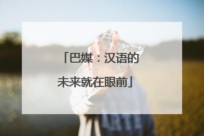 巴媒：汉语的未来就在眼前