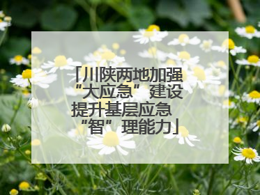 川陕两地加强“大应急”建设 提升基层应急“智”理能力