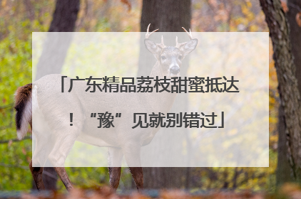 广东精品荔枝甜蜜抵达！“豫”见就别错过