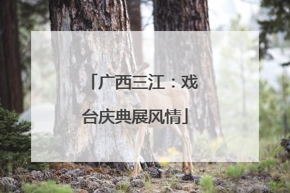 广西三江：戏台庆典展风情