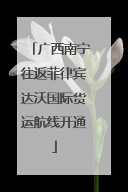 广西南宁往返菲律宾达沃国际货运航线开通