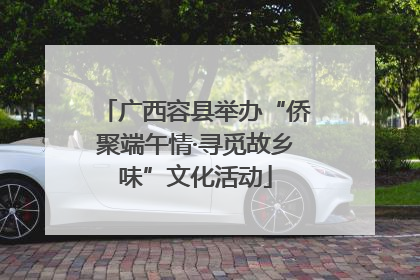 广西容县举办“侨聚端午情·寻觅故乡味”文化活动