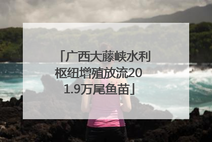 广西大藤峡水利枢纽增殖放流201.9万尾鱼苗