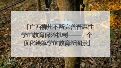 广西柳州不断完善普惠性学前教育保障机制——三个优化绘就学前教育新图景