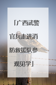 广西武警官兵走进消防救援队参观见学