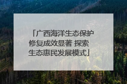 广西海洋生态保护修复成效显著 探索生态惠民发展模式