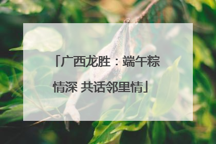 广西龙胜：端午粽情深 共话邻里情