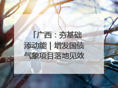 广西：夯基础 添动能｜增发国债气象项目落地见效系列报道