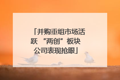 并购重组市场活跃 “两创”板块公司表现抢眼