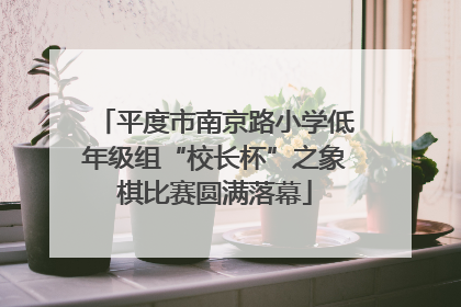 平度市南京路小学低年级组“校长杯”之象棋比赛圆满落幕