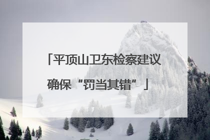 平顶山卫东检察建议确保“罚当其错”