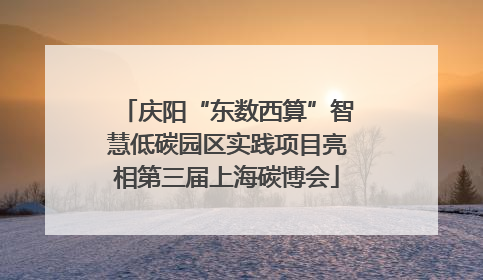 庆阳“东数西算”智慧低碳园区实践项目亮相第三届上海碳博会