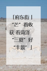 府东街丨“芒”着收获 看菏泽“三夏”好“丰景”