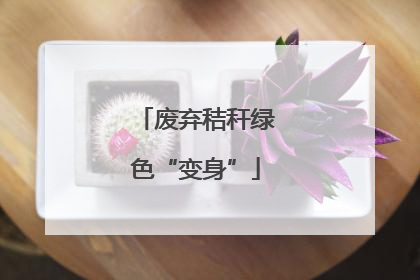 废弃秸秆绿色“变身”