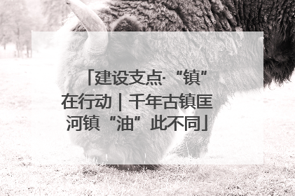 建设支点·“镇”在行动｜千年古镇匡河镇“油”此不同