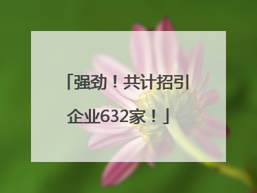 强劲！共计招引企业632家！