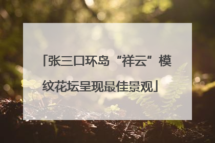 张三口环岛“祥云”模纹花坛呈现最佳景观