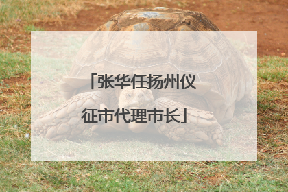 张华任扬州仪征市代理市长