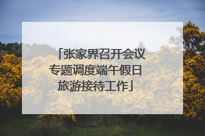 张家界召开会议专题调度端午假日旅游接待工作