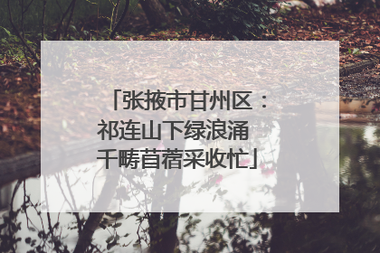 张掖市甘州区：祁连山下绿浪涌 千畴苜蓿采收忙