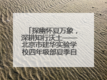 探幽怀夏万象，深耕知行沃土——北京市建华实验学校四年级部夏季自然空间课程纪实