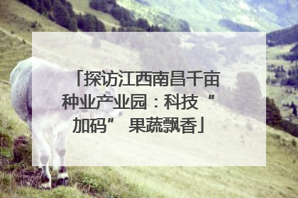 探访江西南昌千亩种业产业园：科技“加码” 果蔬飘香
