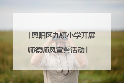 恩阳区九镇小学开展师德师风宣誓活动
