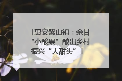 惠安紫山镇：余甘“小酸果”酿出乡村振兴“大甜头”