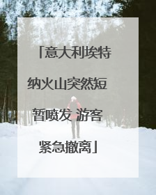 意大利埃特纳火山突然短暂喷发 游客紧急撤离