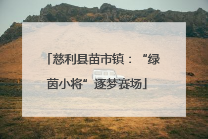 慈利县苗市镇：“绿茵小将”逐梦赛场