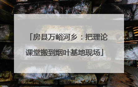 房县万峪河乡：把理论课堂搬到烟叶基地现场