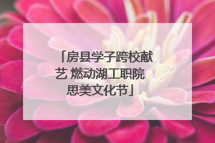 房县学子跨校献艺 燃动湖工职院思美文化节