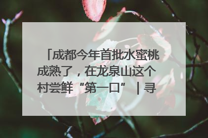 成都今年首批水蜜桃成熟了，在龙泉山这个村尝鲜“第一口”｜寻找和美乡村推荐官