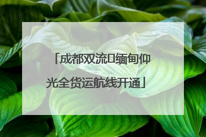 成都双流⇌缅甸仰光全货运航线开通
