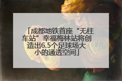 成都地铁首座“无柱车站”幸福梅林站将创造出6.5个足球场大小的通透空间