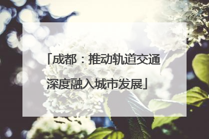 成都：推动轨道交通深度融入城市发展