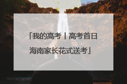 我的高考丨高考首日 海南家长花式送考
