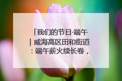 我们的节日·端午｜威海高区田和街道：端午薪火续长卷，邻里馨香聚暖流