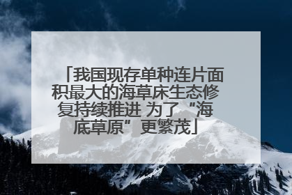 我国现存单种连片面积最大的海草床生态修复持续推进 为了“海底草原”更繁茂