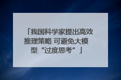 我国科学家提出高效推理策略 可避免大模型“过度思考”
