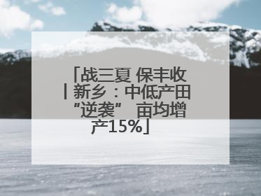 战三夏 保丰收丨新乡：中低产田“逆袭” 亩均增产15%